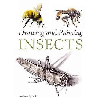 Disegno e pittura insetti