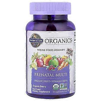 Garden of Life, Organics, Prenatal Multi Gummies, Organic Berry, 120 Vegan Gummy Drops