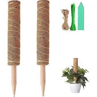 2 stuks 40 cm plant stick kokosmos stick, mos stick plant totem voor klimplanten monstera pothos ranken met 100 twist ties, 1 m lange bindi