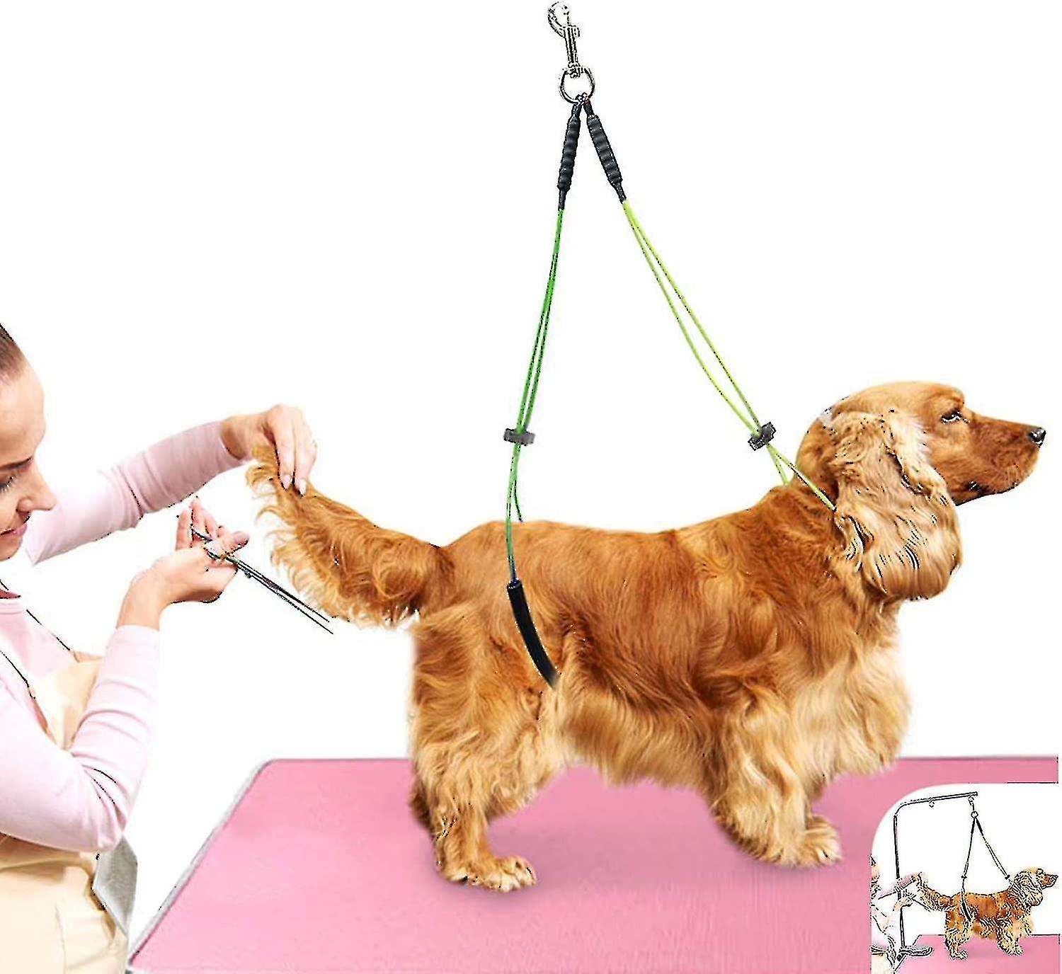 Generic Pet Grooming Table Rope Pet Grooming Leash Neck And Hock Holder Dog Grooming Buckle