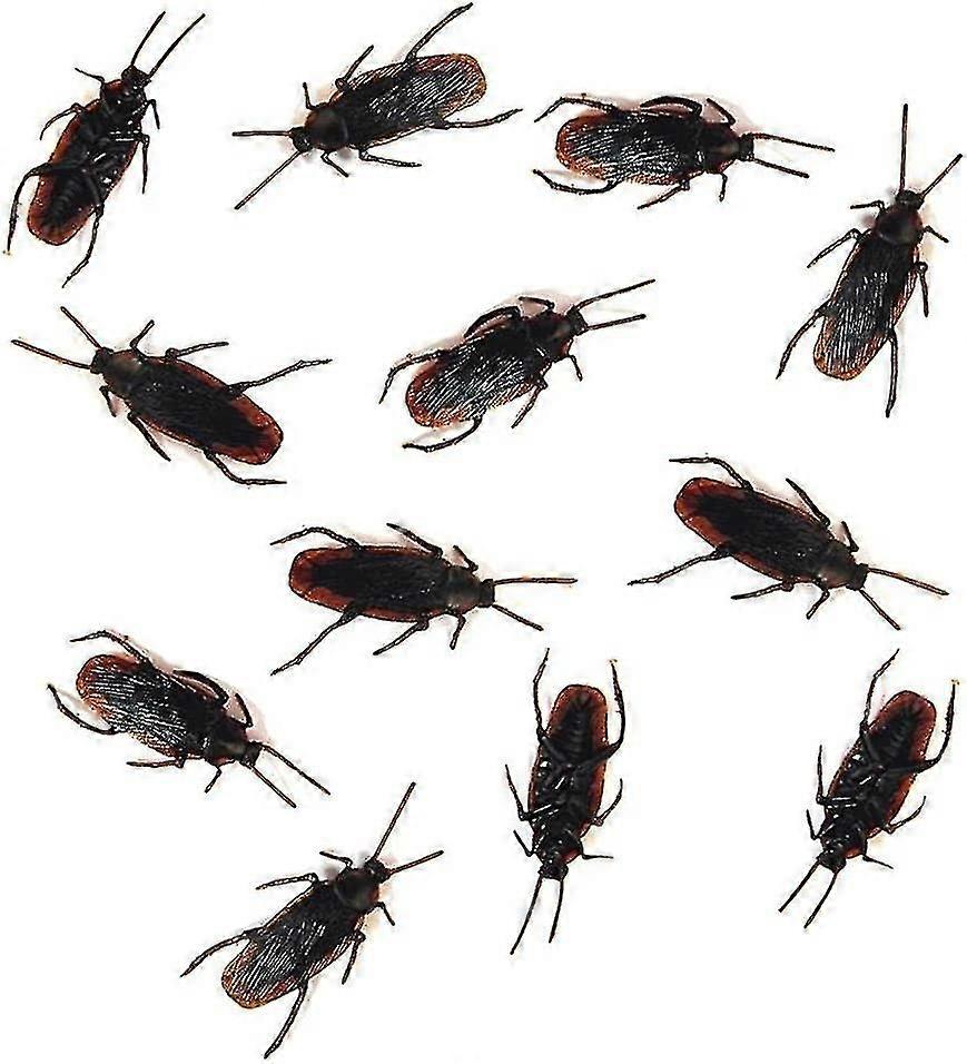 12- Fake Roaches Prank - Cockroach Bugs Look Real Black