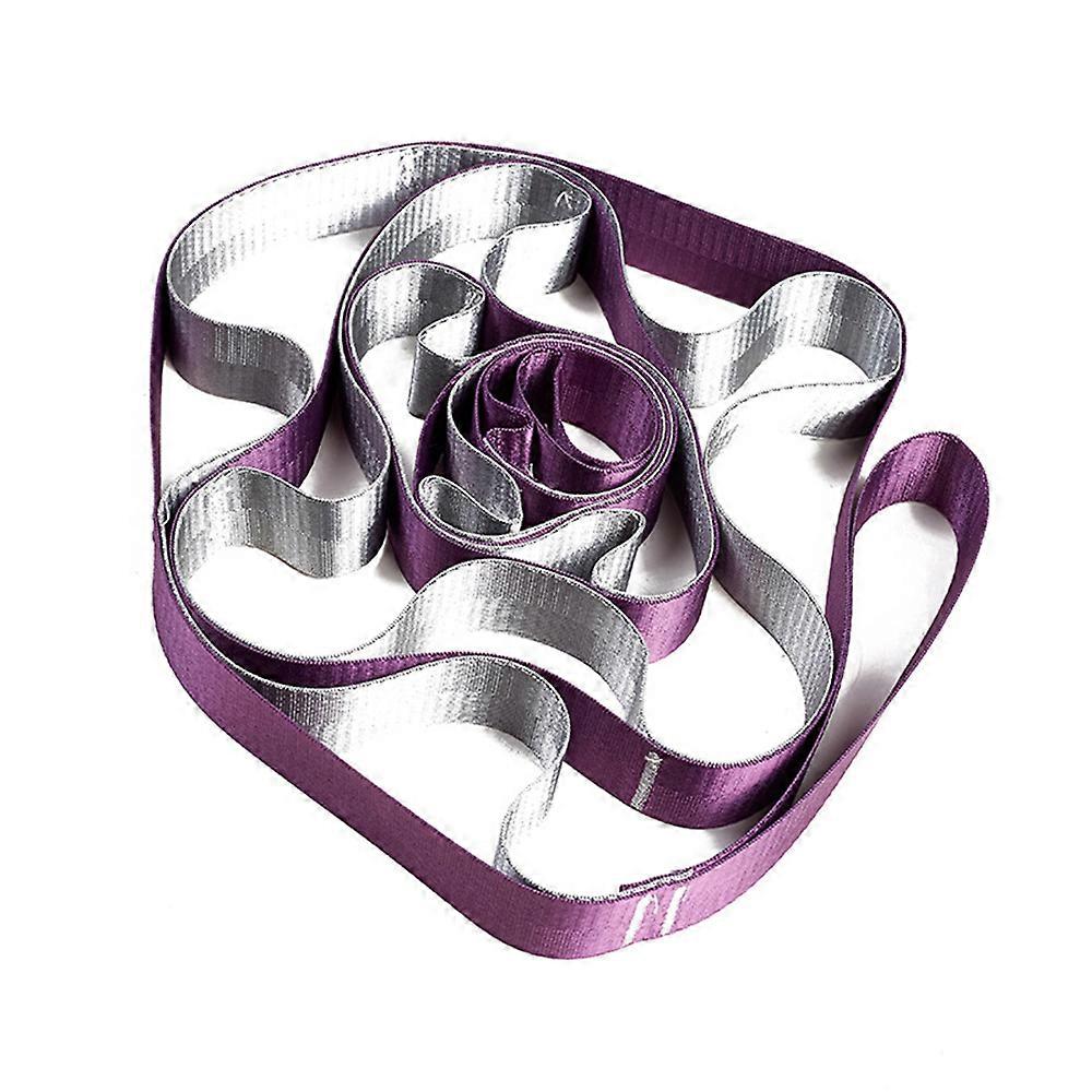 Multi Loop Exercise Stretching Band, Pilates, Dance, Gym