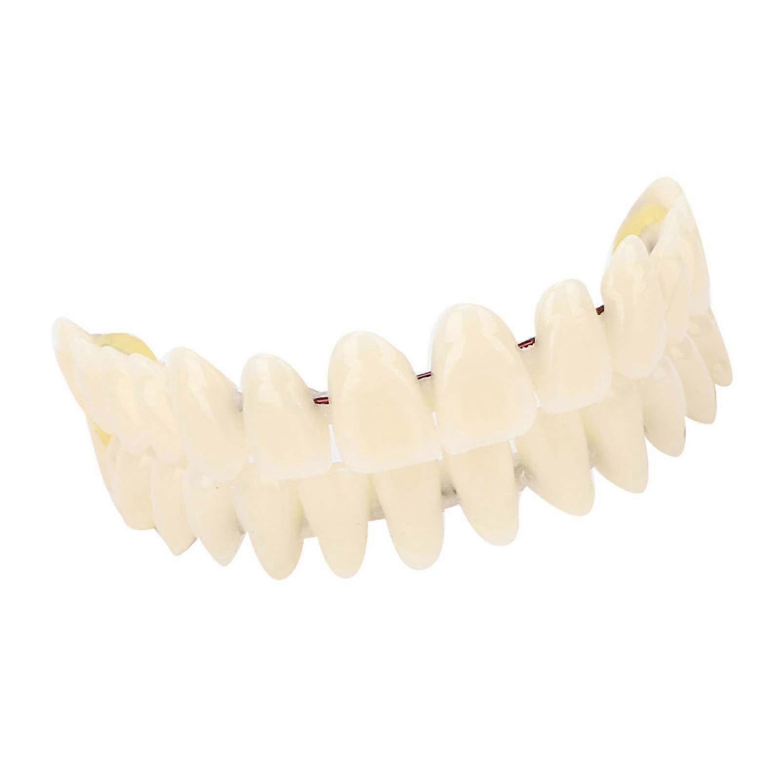 10pcs Resin Denture Dental Teeth Teaching Model Dental Supply Accessory