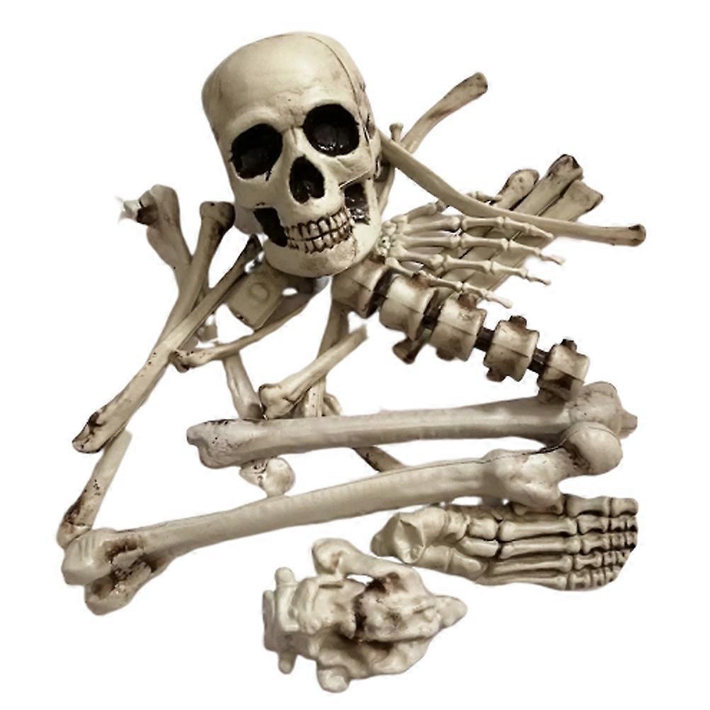 Realistic Plastic Bones for Spooky Halloween Decorations and Haunted House Props