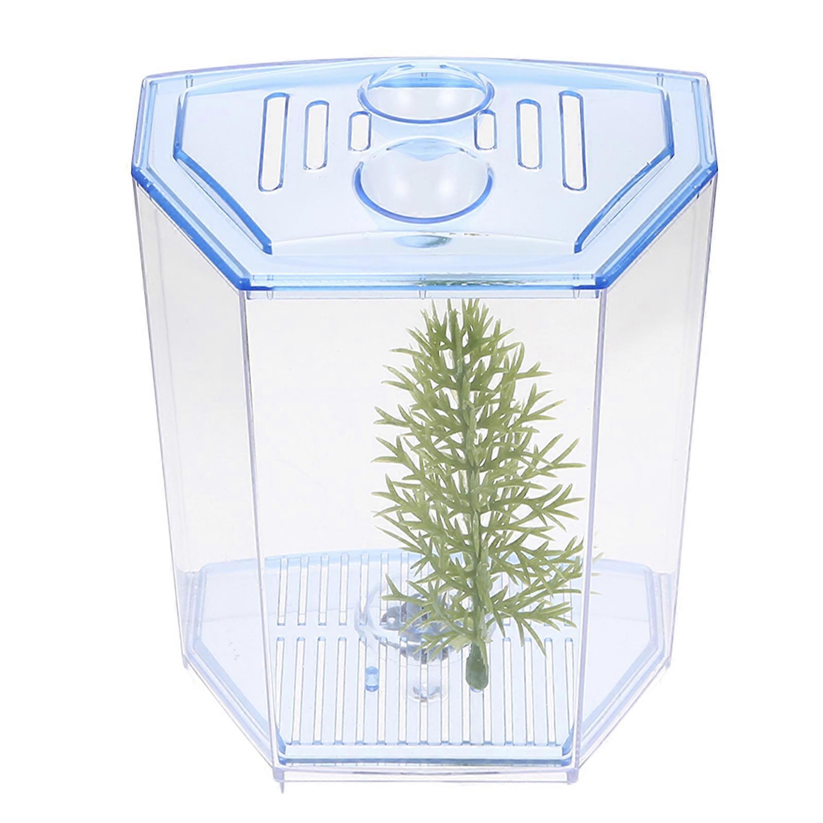 Transparent Fish Breeding Box For Fish Lovers 13.8X10X7.2CM Blue Simple Style Suitable For Aquarium Hobby 1Set