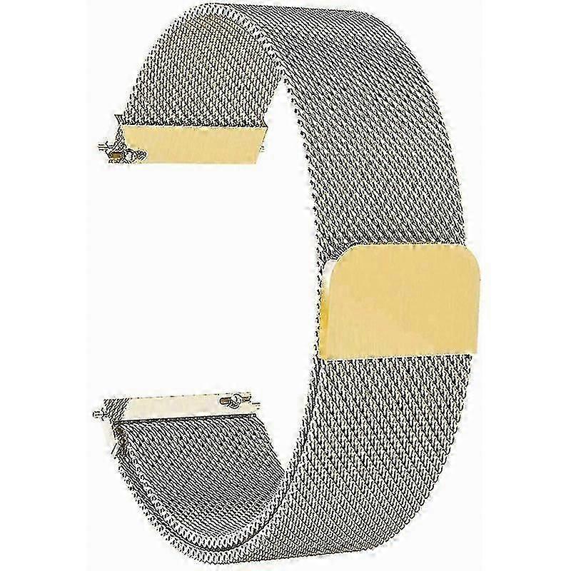 For Garmin Vivomove Style/garminmove Style Mesh Replacement Strap Magnetic Smart Watch (20mm) Hr