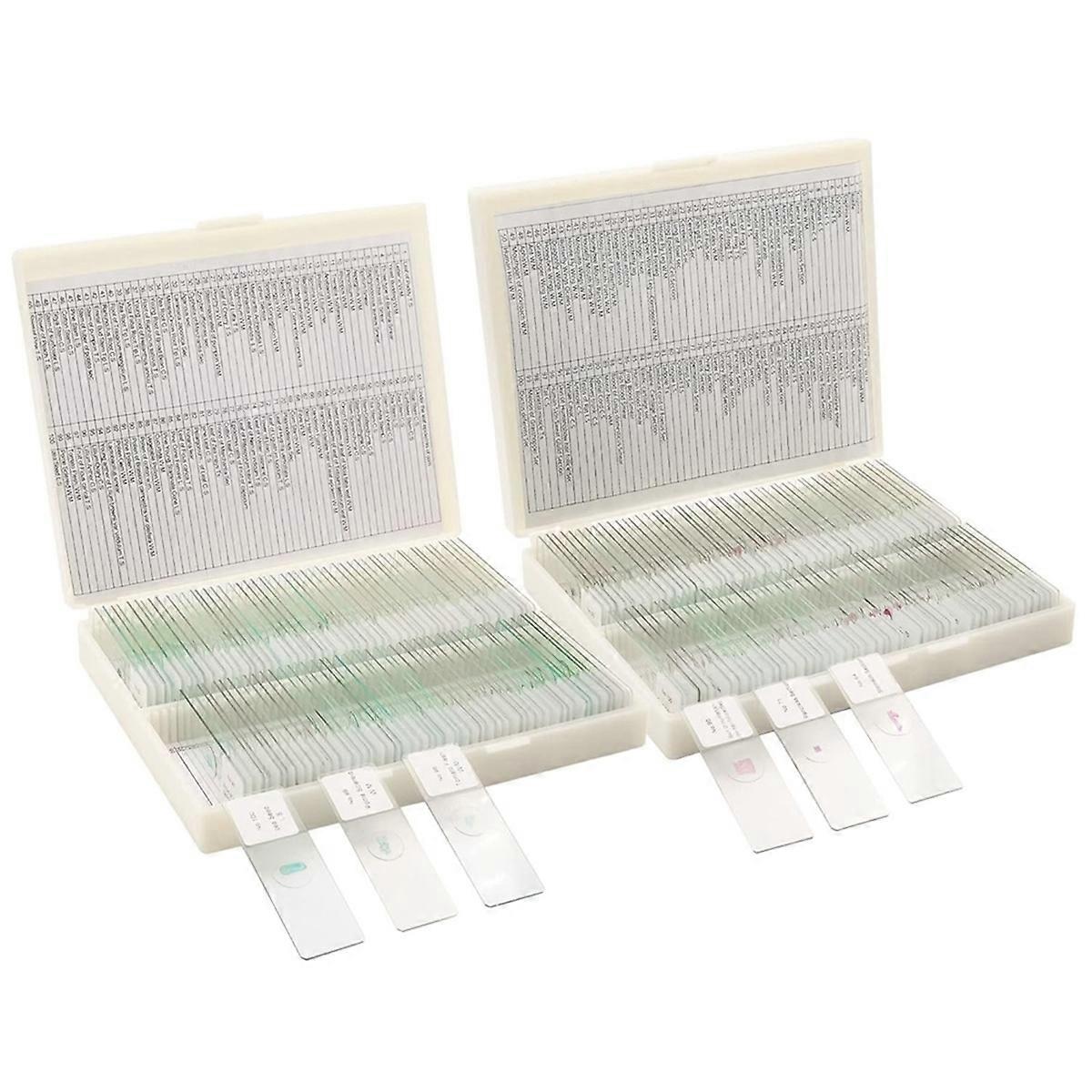 200 Packs Microscope Slides, 100 Plants & 100 Animal Tissues Includes Labels and Case for Biological Science Education