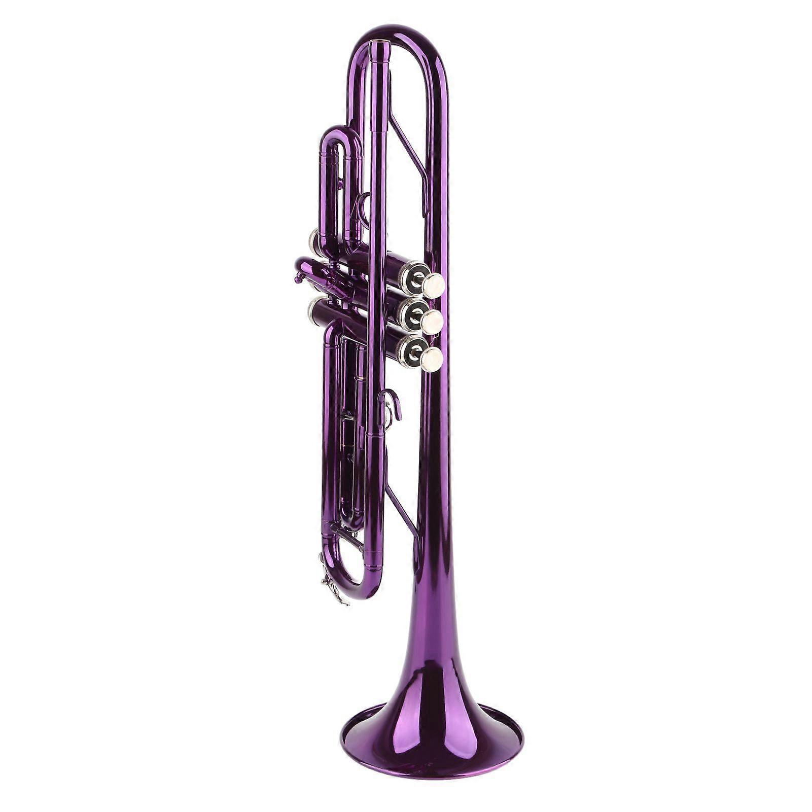 مجموعة البوق B ملحقات الآلات الموسيقية البديلة النحاسية المسطحة مع حقيبة تخزينالأرجواني