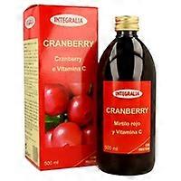 Cranberry Syrup 500 ml