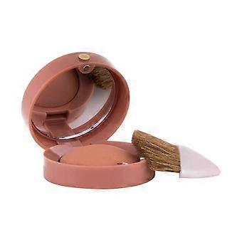 Pastel Blush Fard - Blush 2.5 g 03 Brun Cuivre - metalický typ