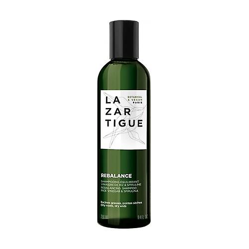 Balancing Shampoo 250 ml
