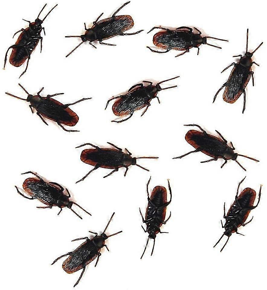 12- Fake Roaches Prank - Cockroach Bugs Look Real Black