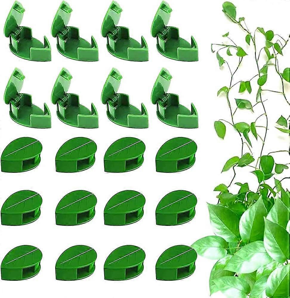 50 Piece Plant Clips Climbing Plant Holders Self-Adhesive Support Clips  Invisible Plant Wall Clips Wire Organizer | Fruugo NO