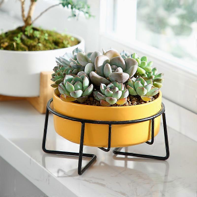 Modern Minimalist Ceramic Flower Pot with Iron Stand for Hydroponic Succulent Plants