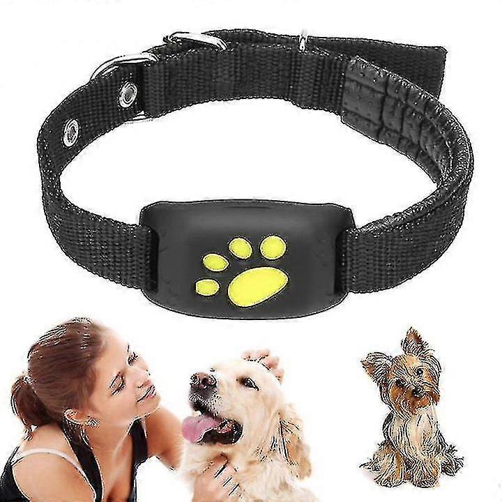 Smart Gps Cat And Dog Collar Tracker New