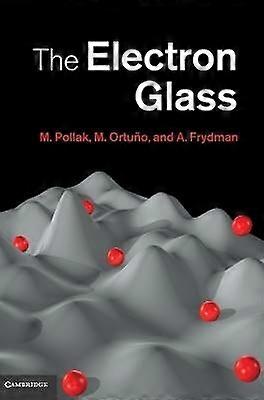 The Electron Glass