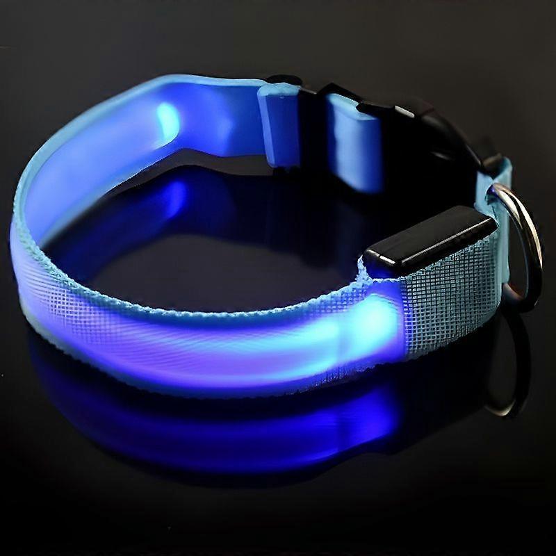Blue LED Light Up Dog Collar - Size M