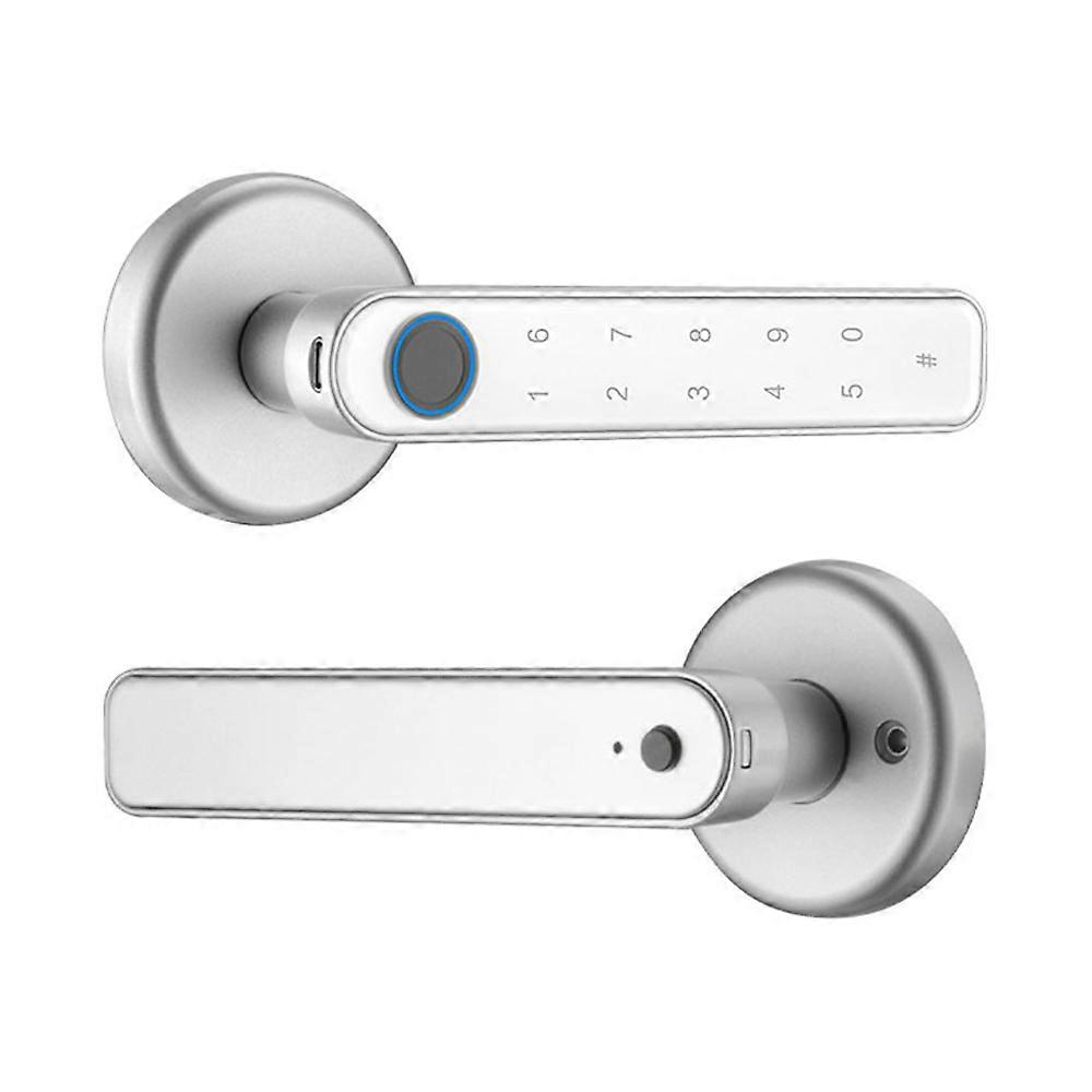 Smart Fingerprint Door Lock Electronic Handle Password Key With Tuya APP
