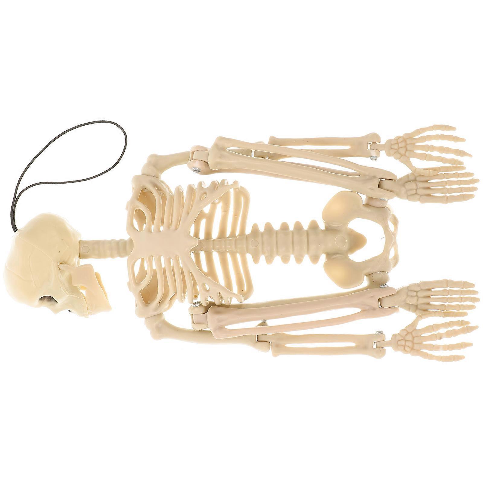 Halloween Skeleton Decorations Unique Creepy Skeleton Halloween Decorations Movable Skeleton Decor For Halloween Or Prank Themes White