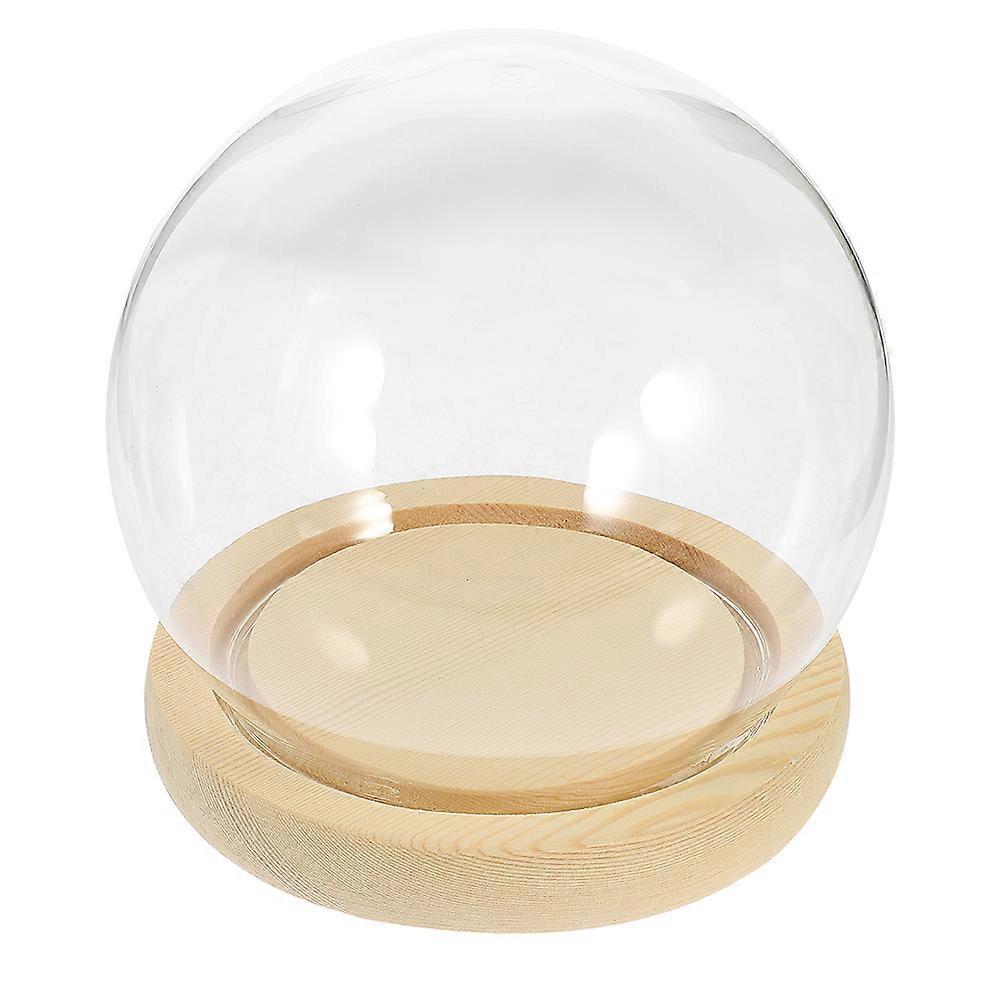 Clear Glass Cloche Dome Display Case For Preserved Flower And Succulent Decoration With Wooden Base In Multi Color And Spherical 3Pcs