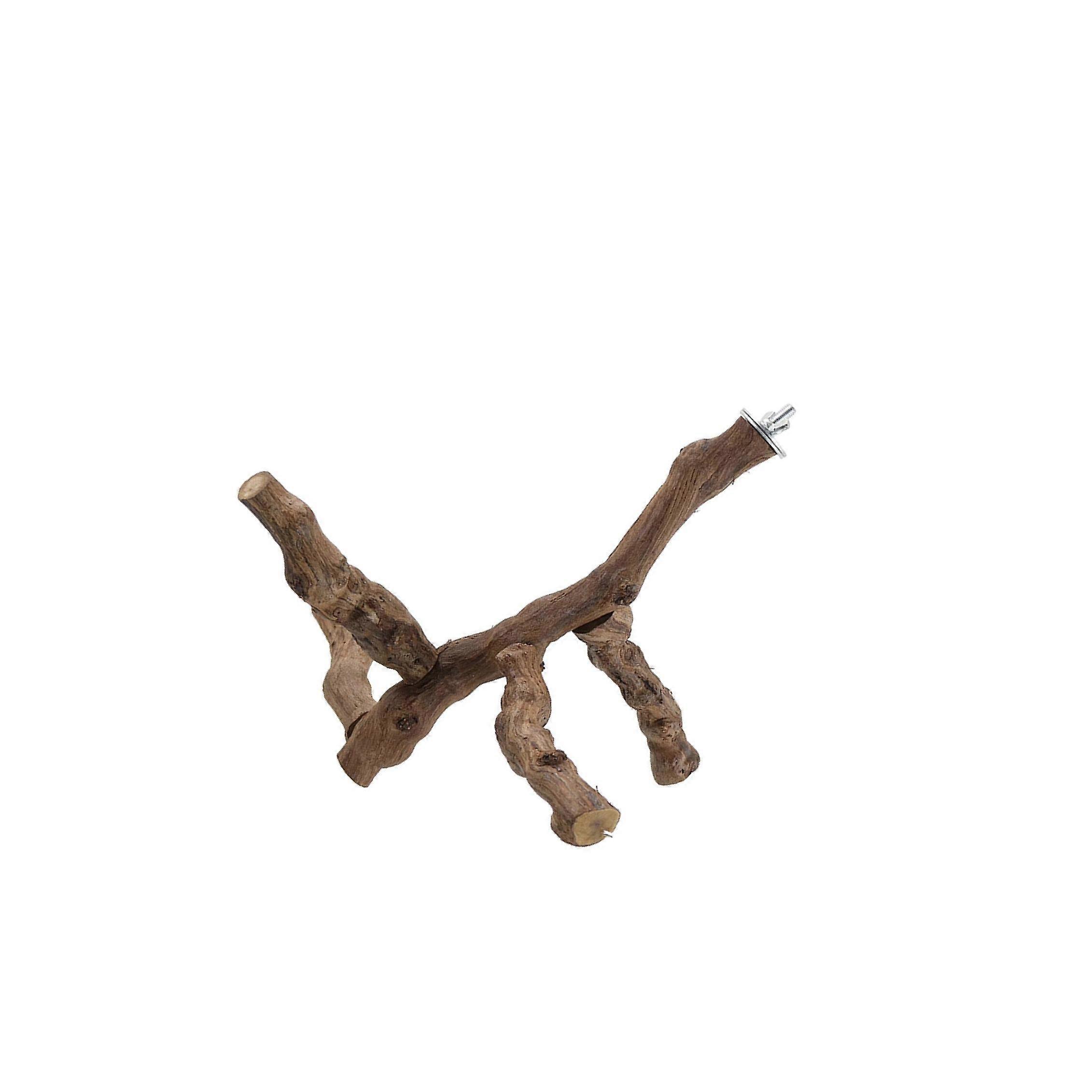 Bird Perch Activity Center Multi Branch Perch for Conures Lovebirds Finches