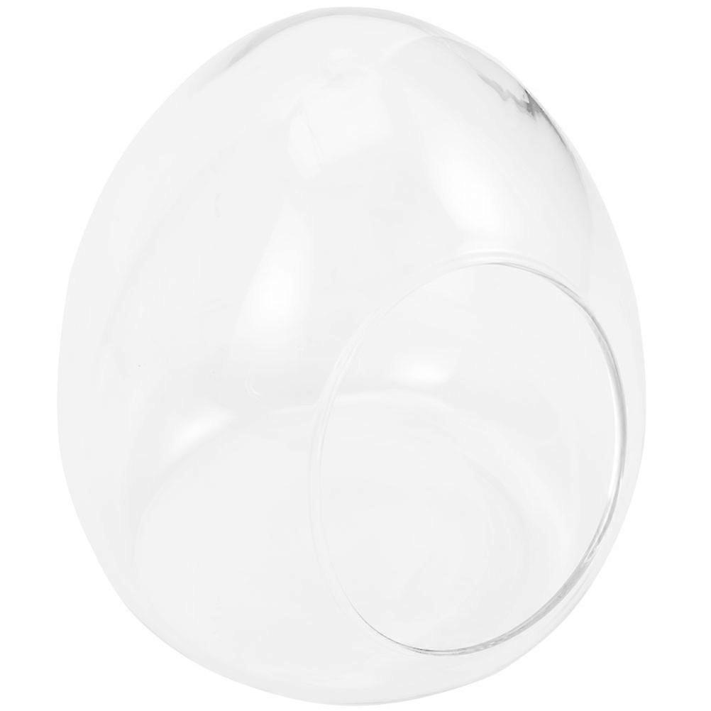 Empty Terrarium Egg Bottle for Moss Ecological Plants 3Pcs