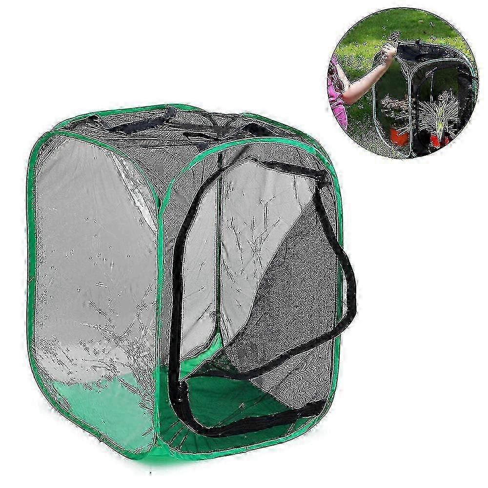 2023- Tall Large Butterfly Habitat Cage Collapsible Terrarium Pop-up Lnches , Insect And Butterfly Net For Raising Inserts
