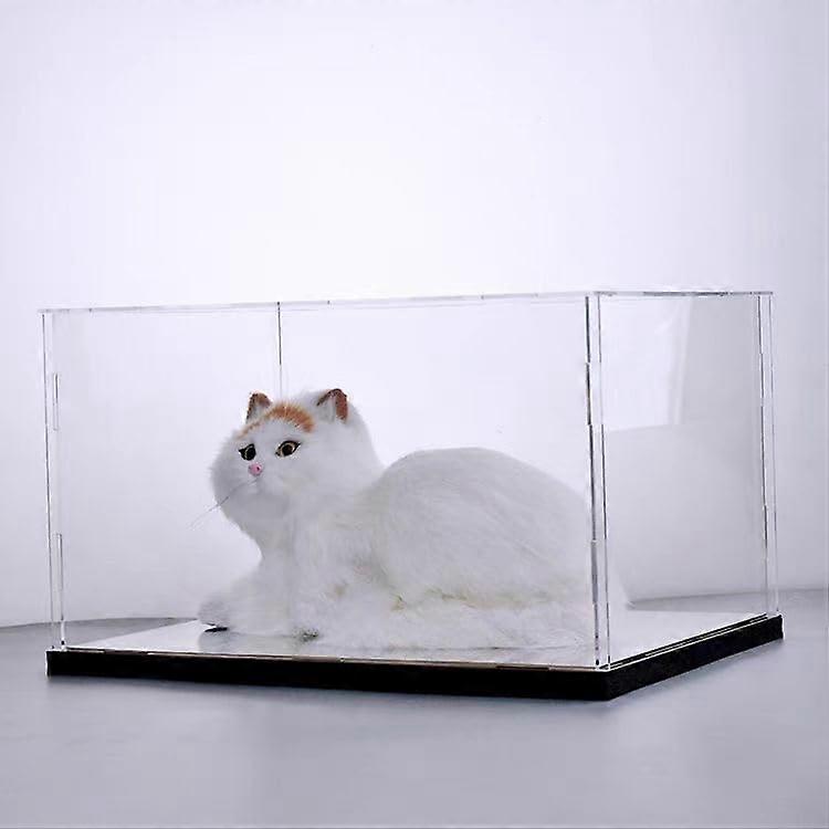 Large Acrylic Display Case for Collectibles 25x25x25cm, Clear Dustproof Box with Base, Stackable