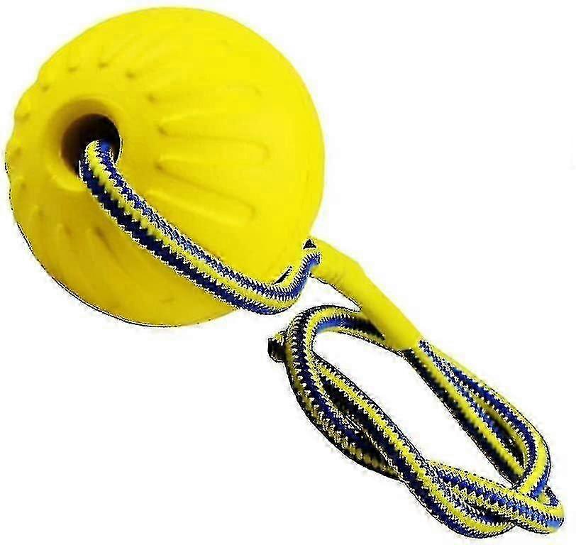 Dog Rubber Ball With Bungee Cord
