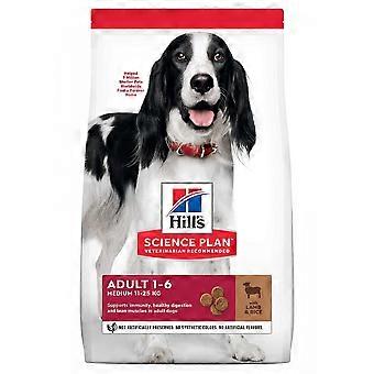 Sp canine 14 kg lamb/rice adult dry dog food