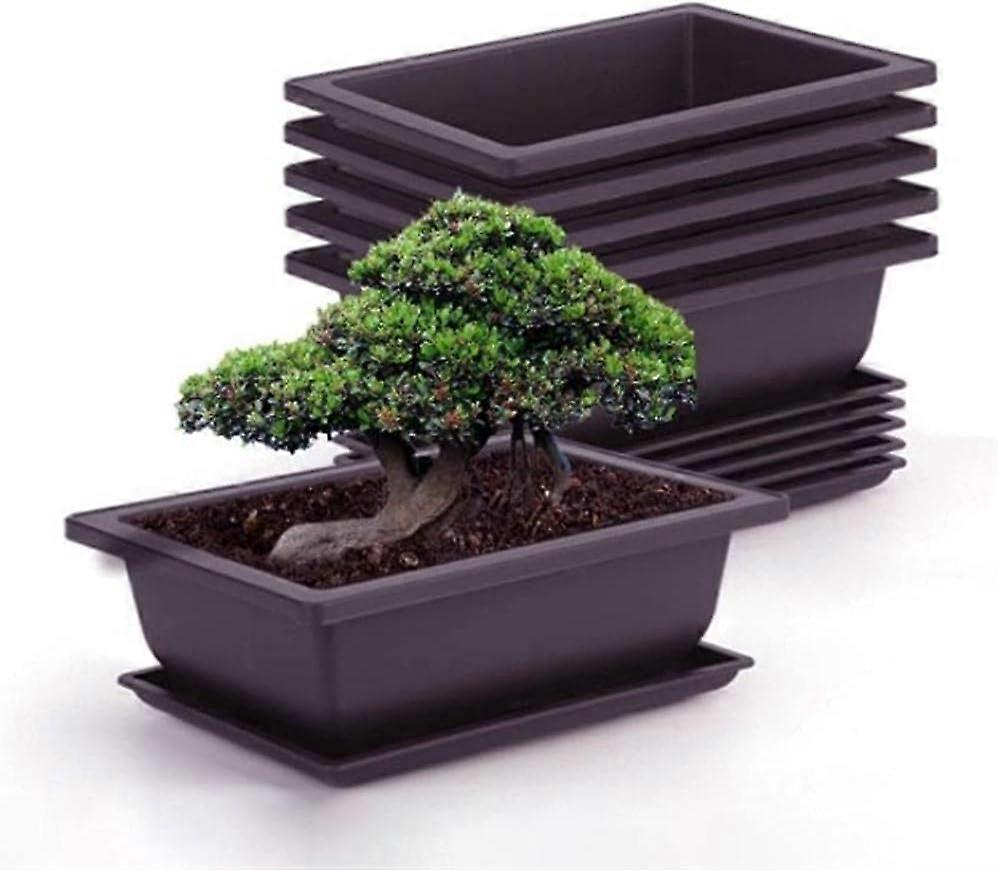 مجموعة من 6 أواني تدريب بونساي مع صينية زهور بلاستيكية مربعة نبات عصاري للحديقة وغرفة المعيشة والمكتب