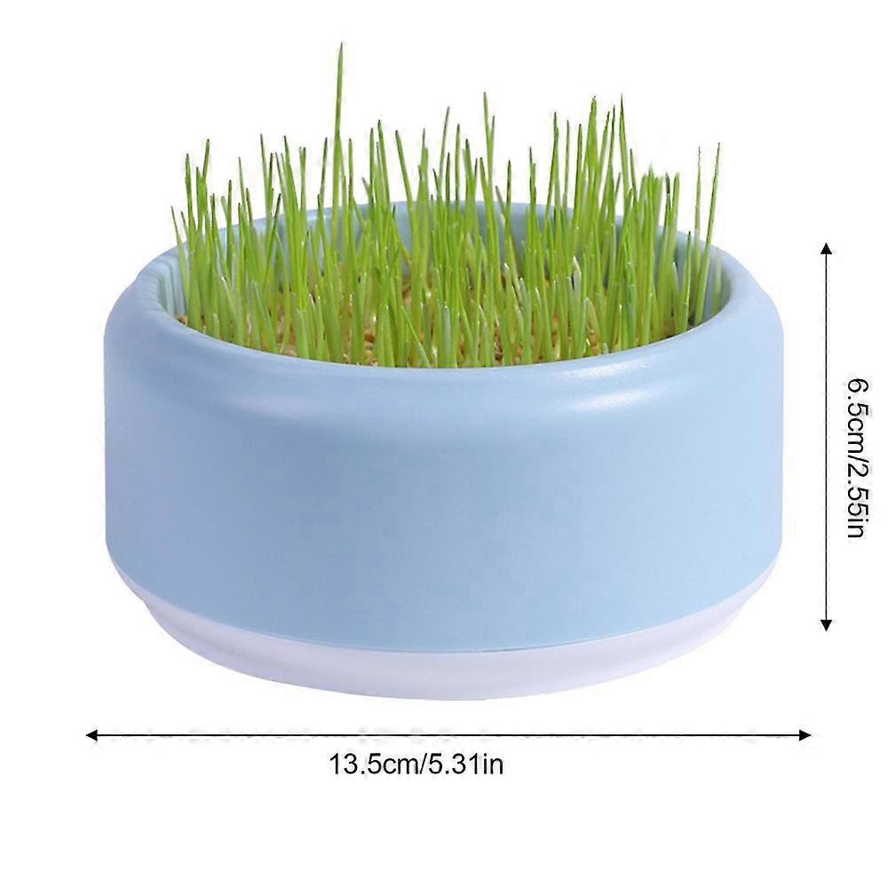 Cat Snacks Plant Growing Kits ing Hydroponic Box Cat Grass Plant Bowl Cat Snacks Pet Accessories Cat Grass Pot Digestive ing Tray