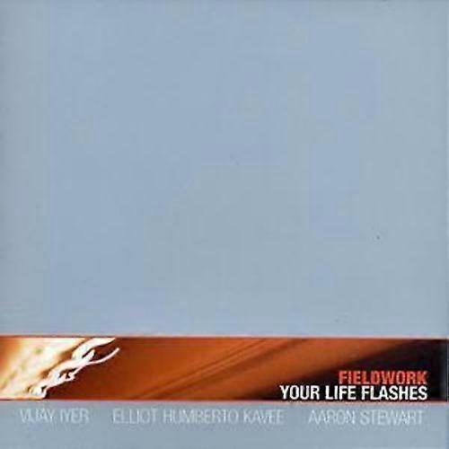 Fieldwork Your Life Flashes CD (2003) NEW