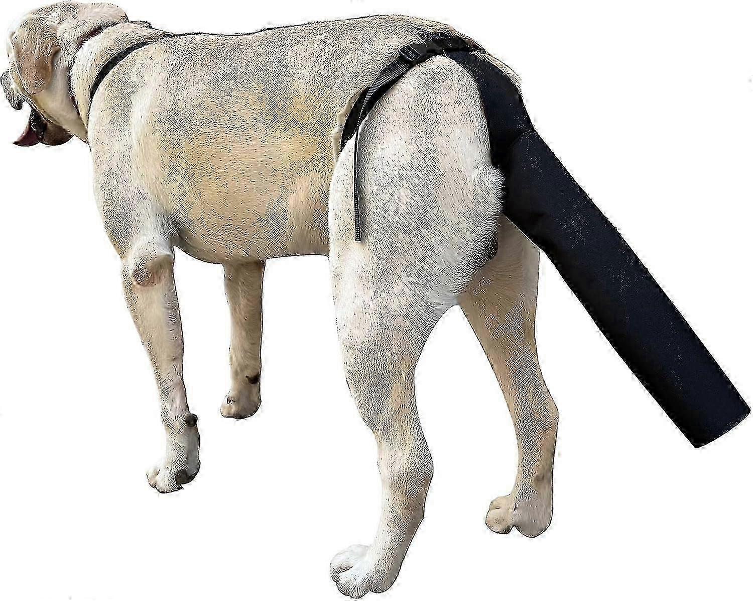 Conjunto de 2 Protetores de Cauda de Cão Preto e Capas para Feridas