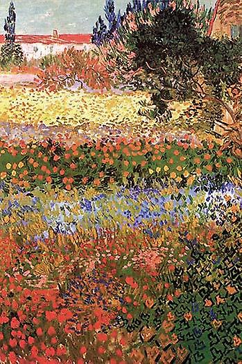 Flowering Garden with Path Poster