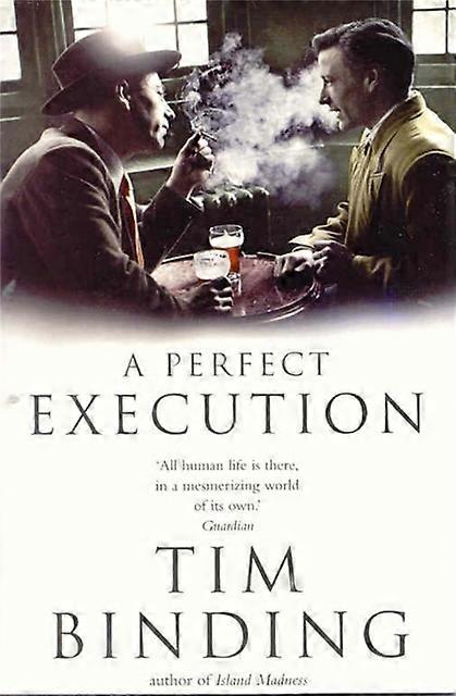 A Perfect Execution - Tim Binding