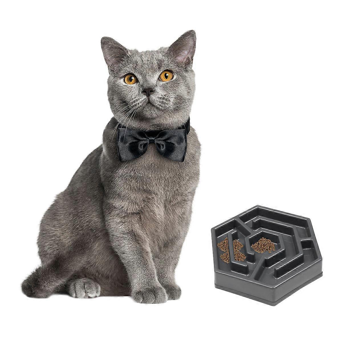 Pet Bowl Adorable Feeding Bowl for Slowly Eatting 1Pcs Grey Creative Design