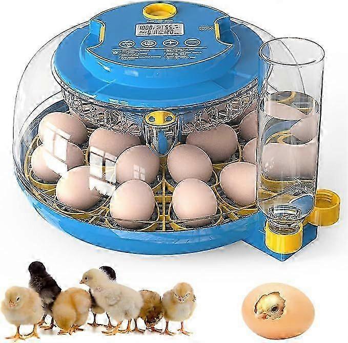 Incubators for Hatching Eggs, 18 Egg Incubator with Automatic Egg Turning and Humidity Control, 360 View Incubadora De Huevos De Gallina, Egg Candler,