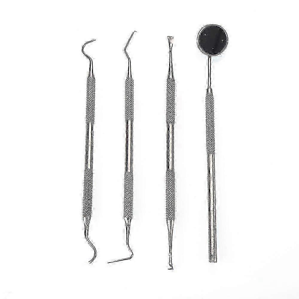 Dental Tartar Removing Kit Set Of 4 Hygiene Plaque Removing Instruments