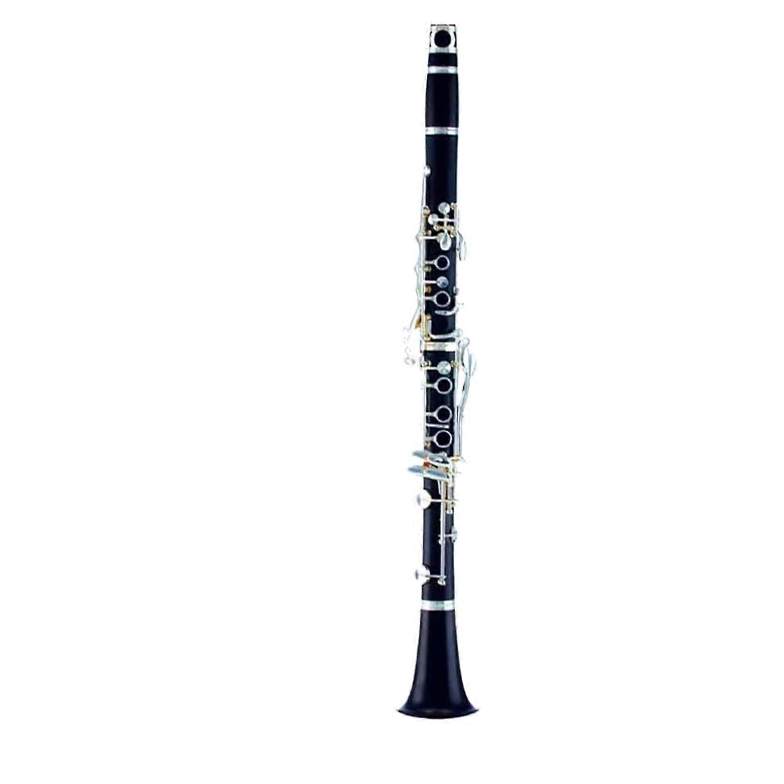 Professional Bb Clarinet B Flat Instrument for Beginners with Carrying Case