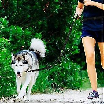 Jogging Dog Leash, Upgrade Hands-free Dog Leash With Two Bungees