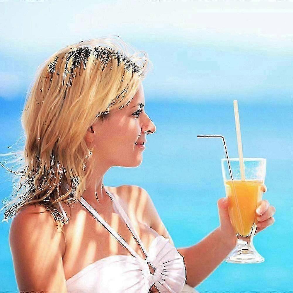 21cm Reusable PP Straws Eco Pack