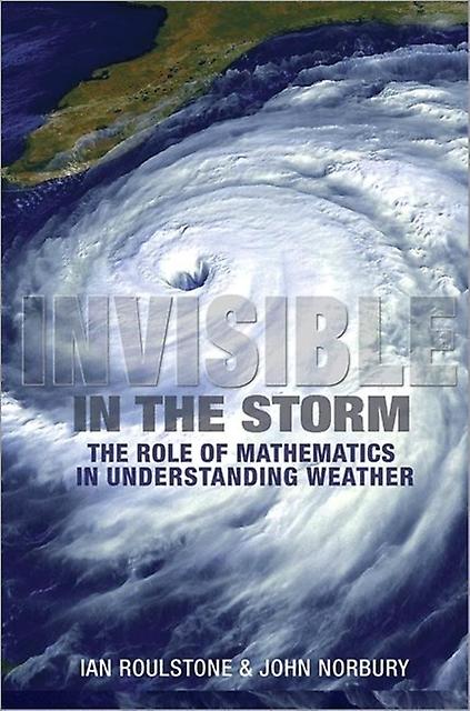 Invisible In The Storm by John Norbury Paperback Book