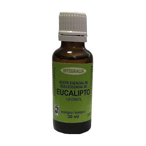 Eucalyptus Essential Oil Eco 30 ml of essential oil (Eucalyptus)