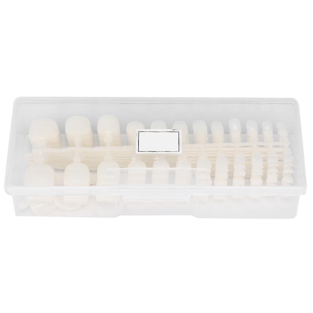 Professional Nail Art Tip False Toe Nail Patch DIY Manicure Tool - Natural Color