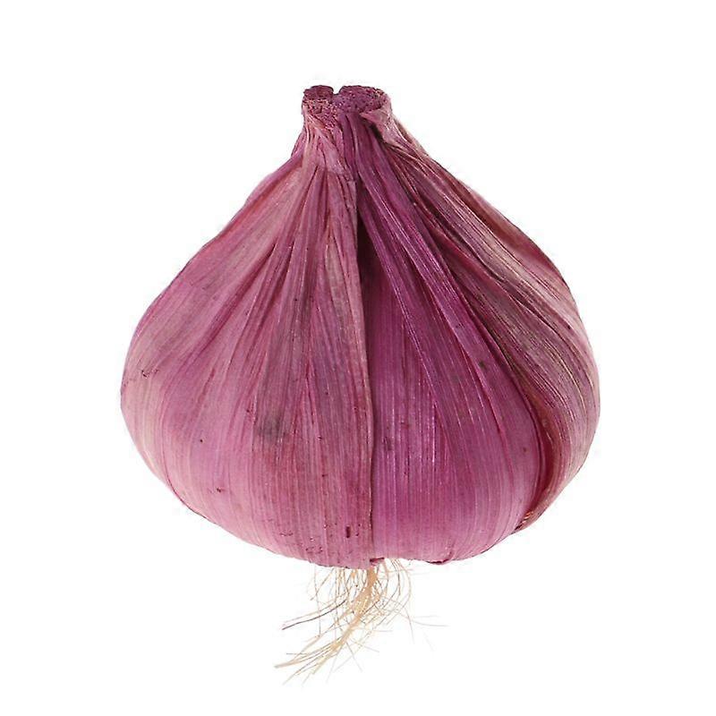 Artificial Garlic Simulation Fake Lifelike Vegetable Display Ornament Accessory