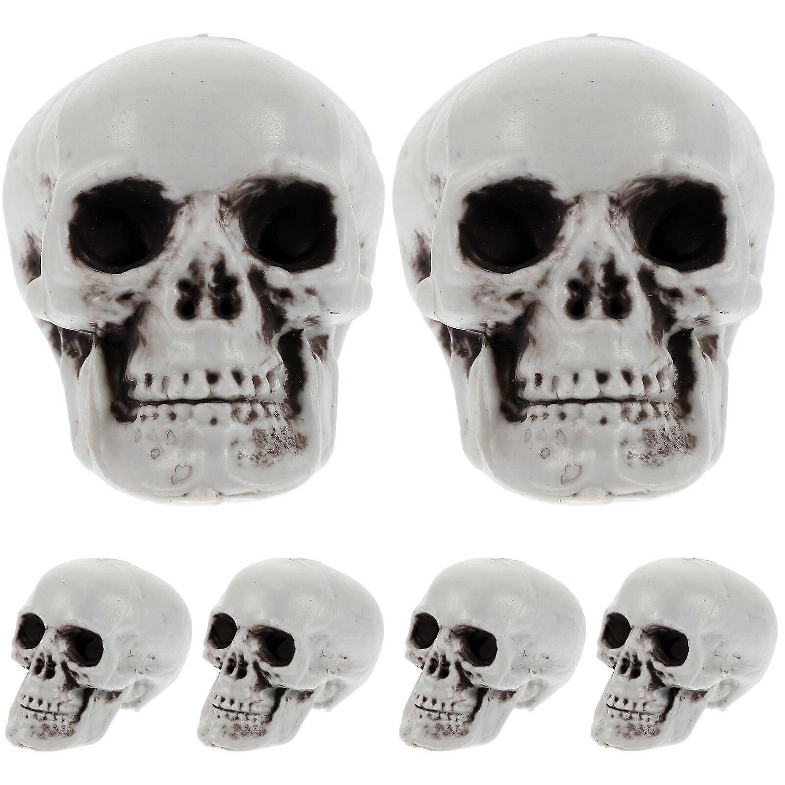 6Pcs Simulation Skeleton Head Models Small Skull Head Sculptures Realistic Skeleton Skulls Decors