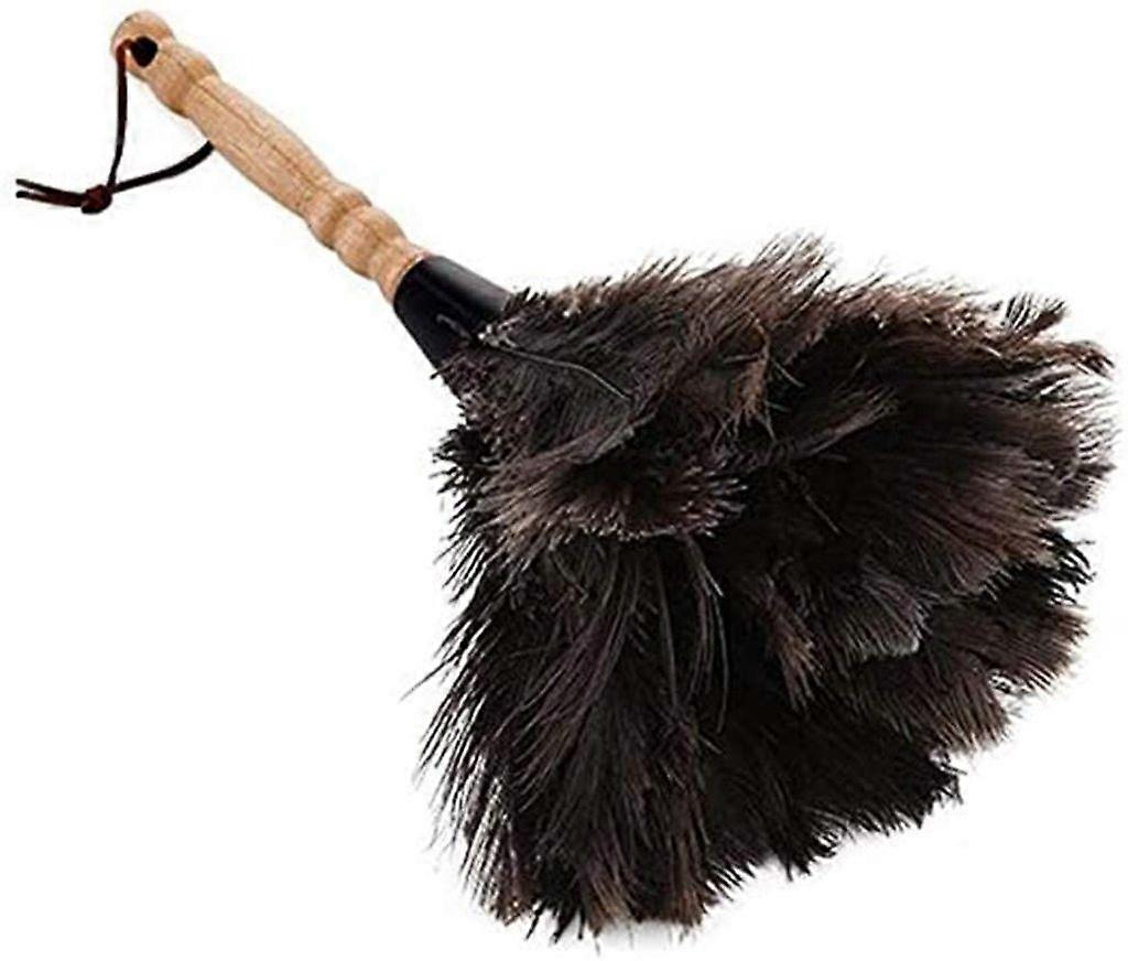 Feather Duster Struts Bambus Håndtak 32cm