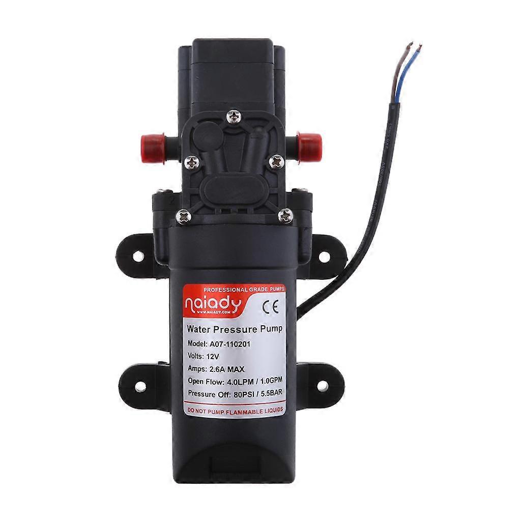 Pressione autoadescante dell'acqua di spruzzatura di prestazioni 80PSI 4LPM di plastica nera