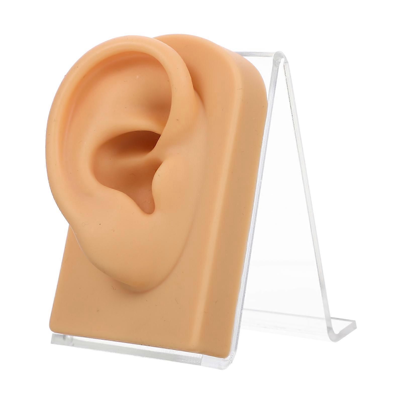 Ear Model On Stand Desktop Earring Holder Jewelry Display Professional Users Beauty Shops 8X5X3.2CM 1Set